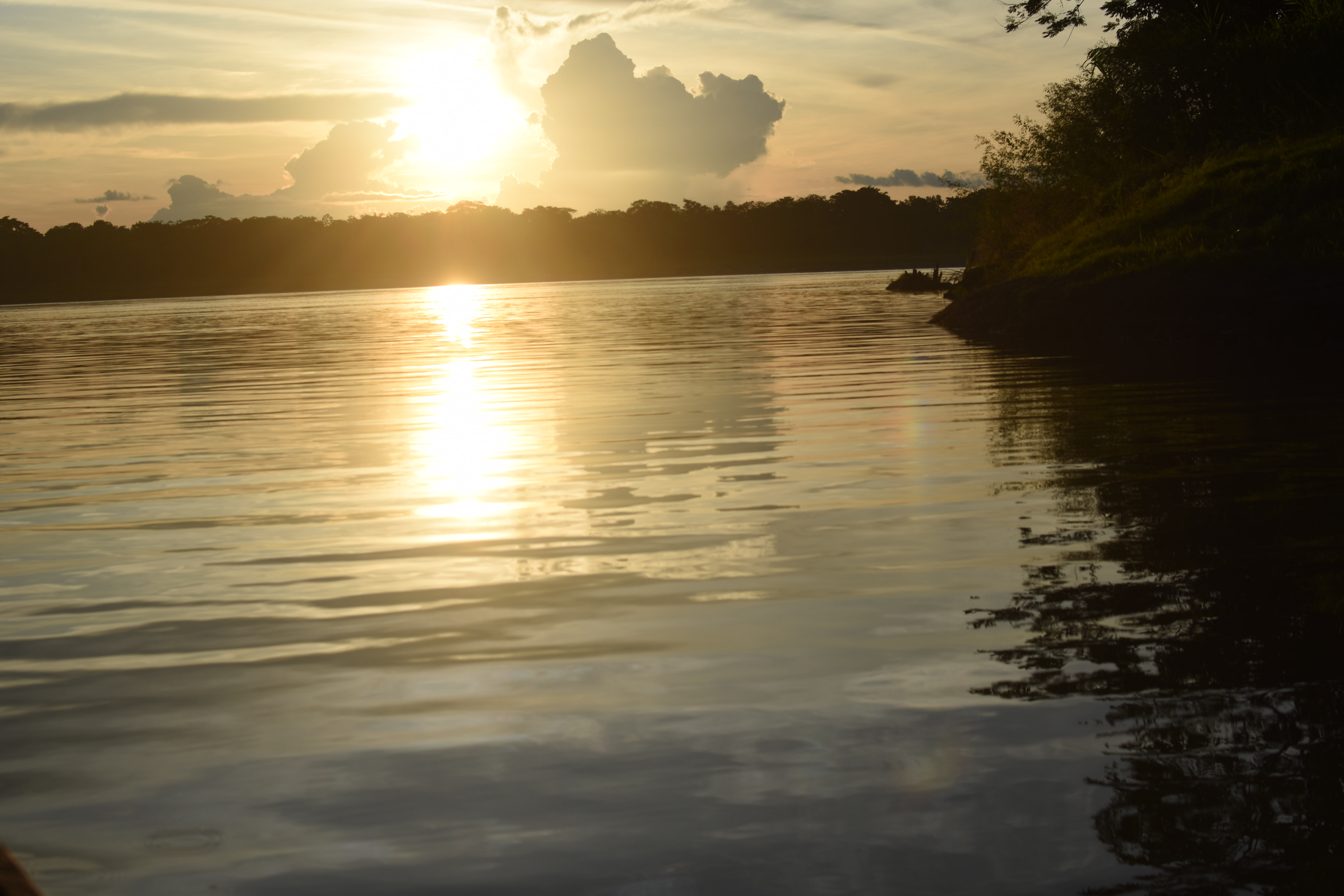 Ayahuasca center of psychedelic healing journeys