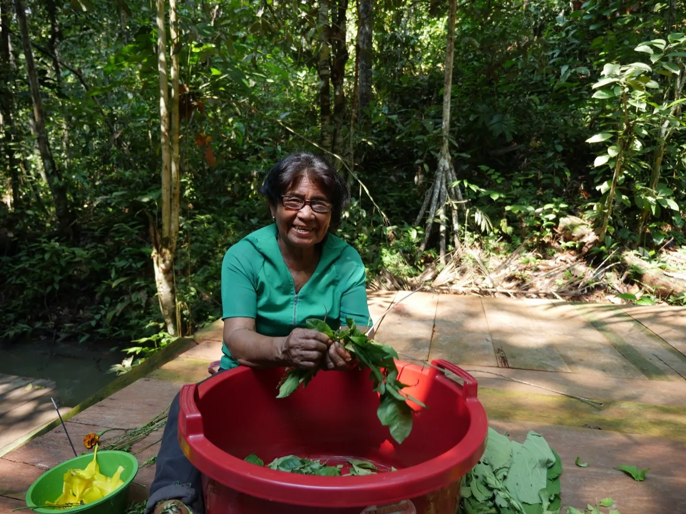 Elva — Plant knowledge at Ayaselva