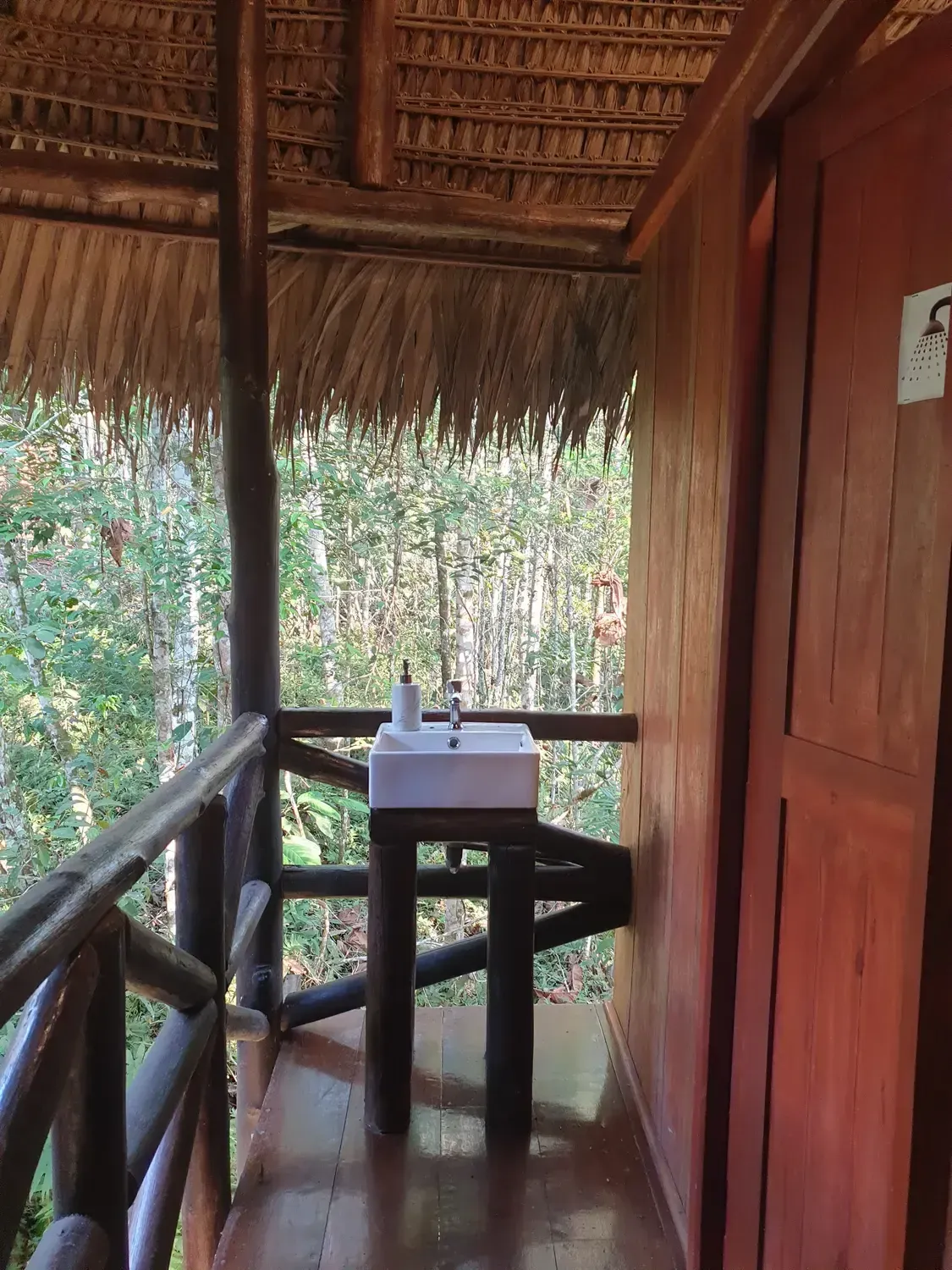 Life at Ayaselva — a moment from the jungle, the maloka, or a retreat.