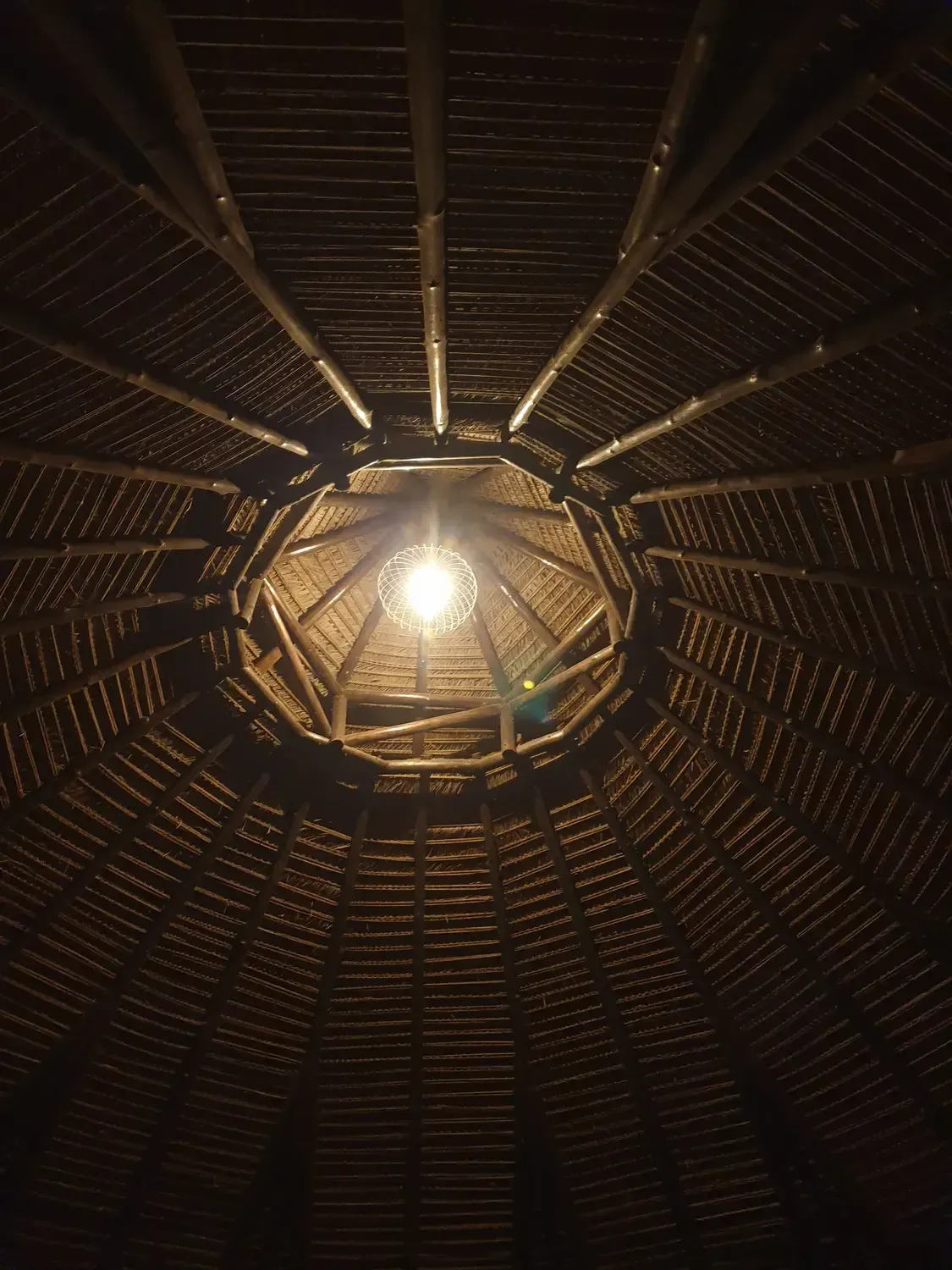 Life at Ayaselva — a moment from the jungle, the maloka, or a retreat.
