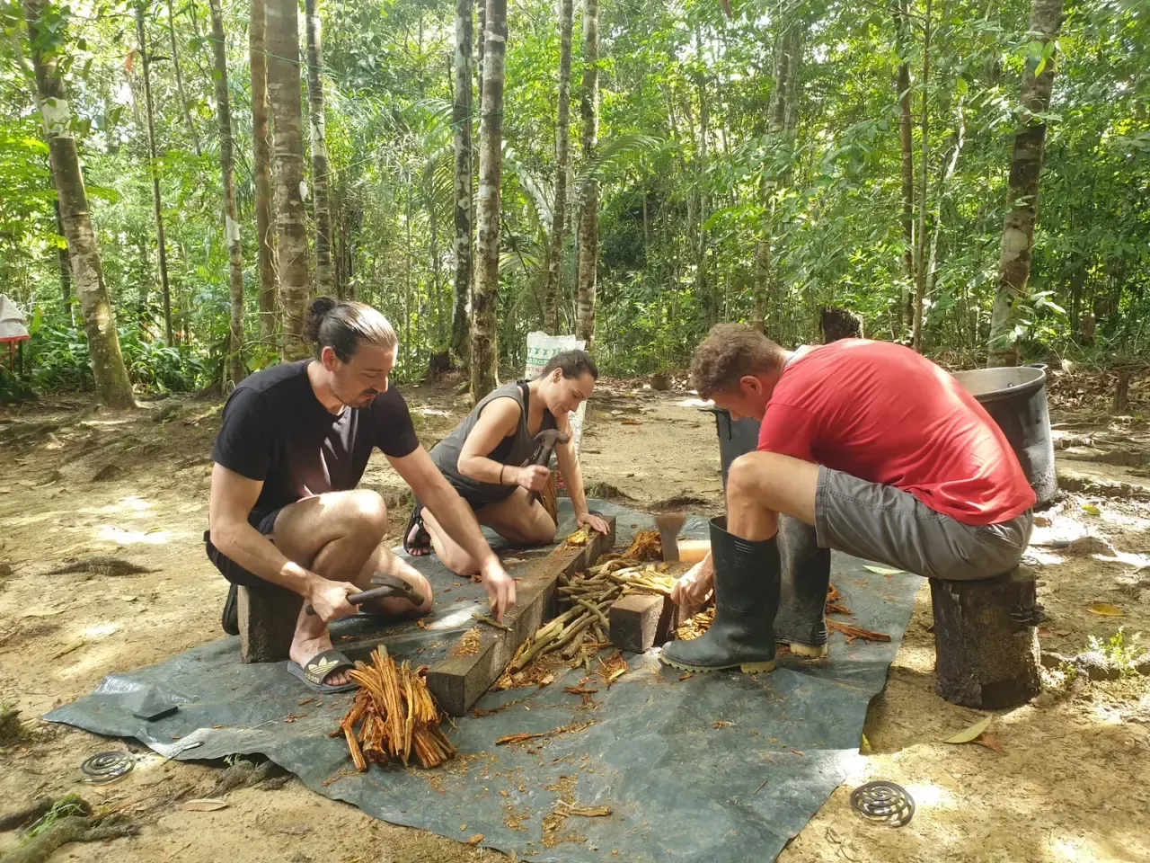 Life at Ayaselva — a moment from the jungle, the maloka, or a retreat.