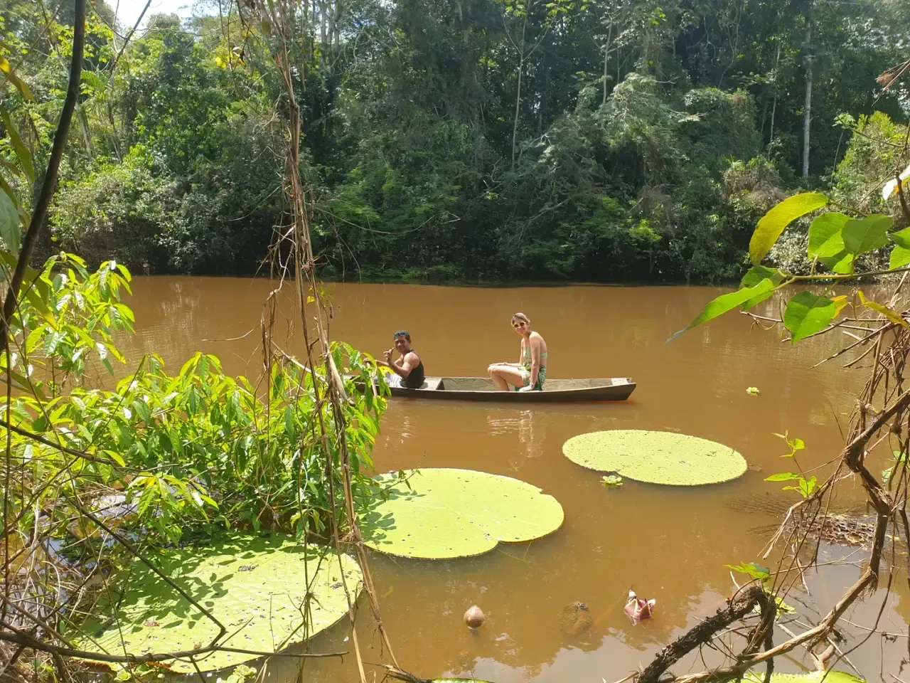 Life at Ayaselva — a moment from the jungle, the maloka, or a retreat.