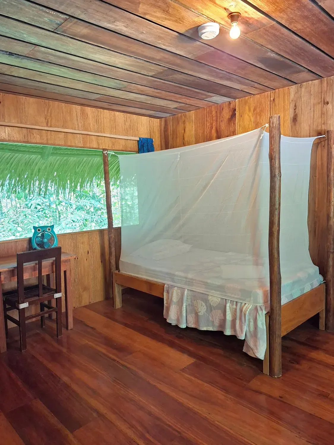 Life at Ayaselva — a moment from the jungle, the maloka, or a retreat.