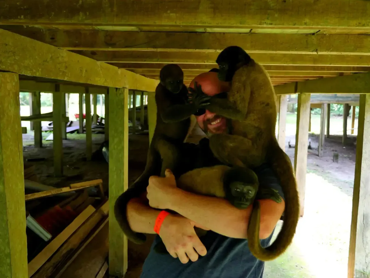 Life at Ayaselva — a moment from the jungle, the maloka, or a retreat.