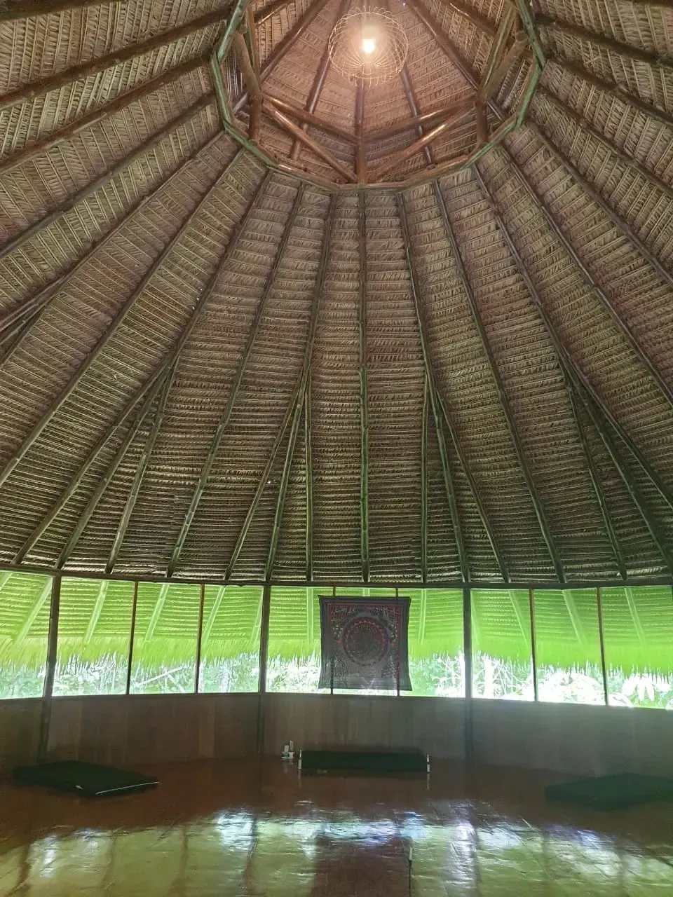 Life at Ayaselva — a moment from the jungle, the maloka, or a retreat.