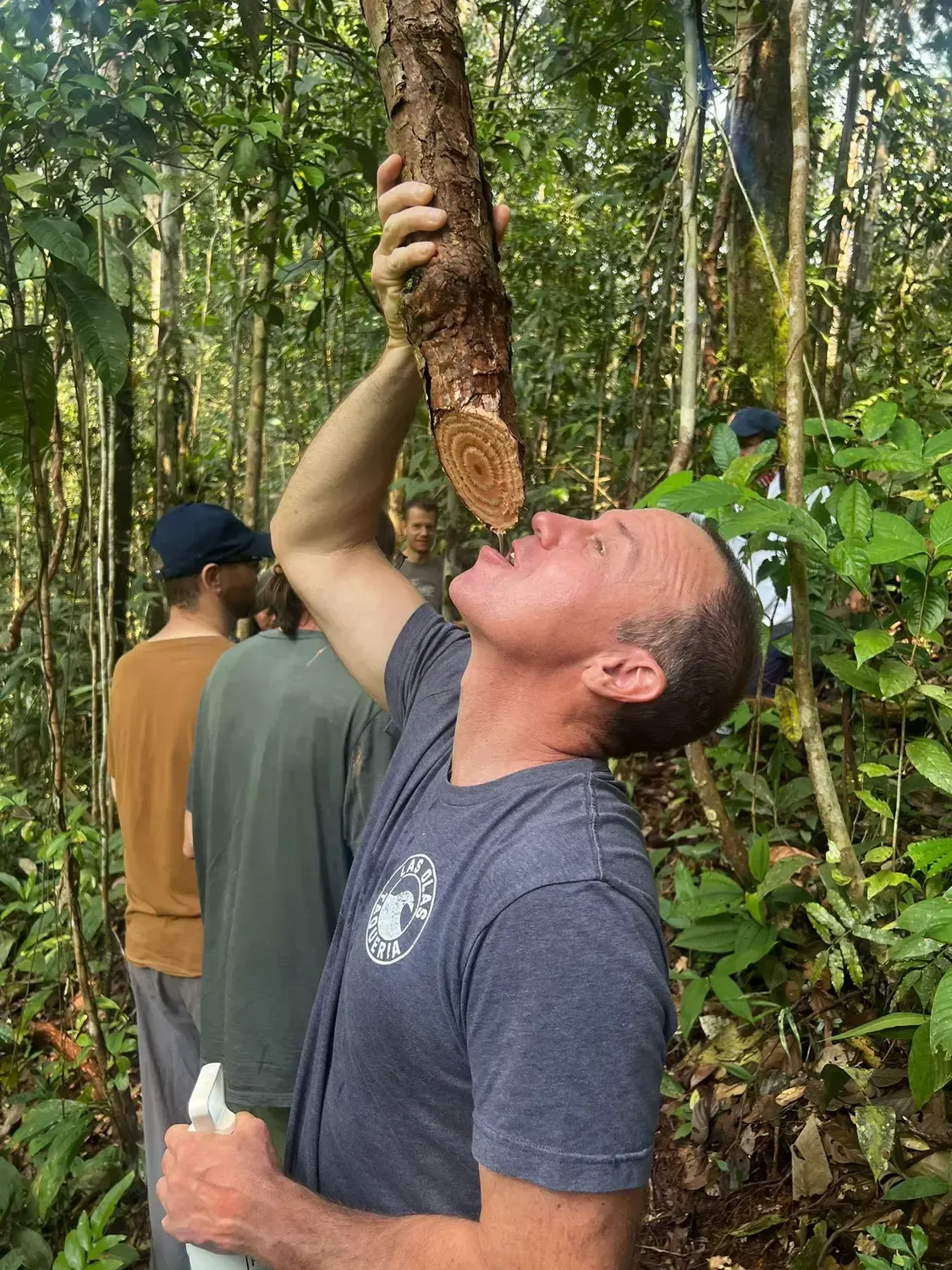Life at Ayaselva — a moment from the jungle, the maloka, or a retreat.