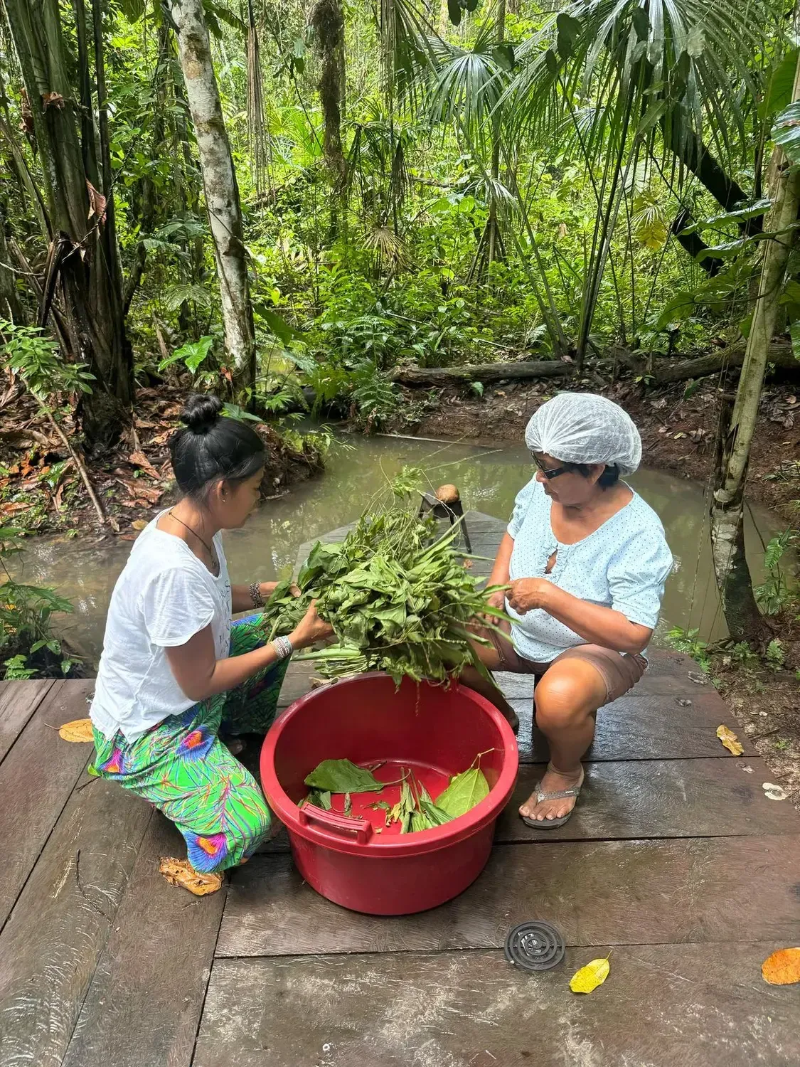 Life at Ayaselva — a moment from the jungle, the maloka, or a retreat.