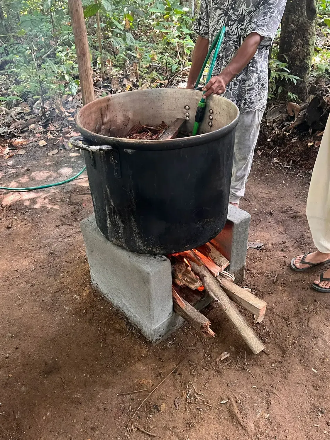 Life at Ayaselva — a moment from the jungle, the maloka, or a retreat.