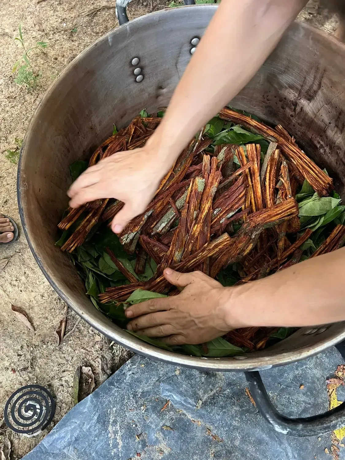 Life at Ayaselva — a moment from the jungle, the maloka, or a retreat.