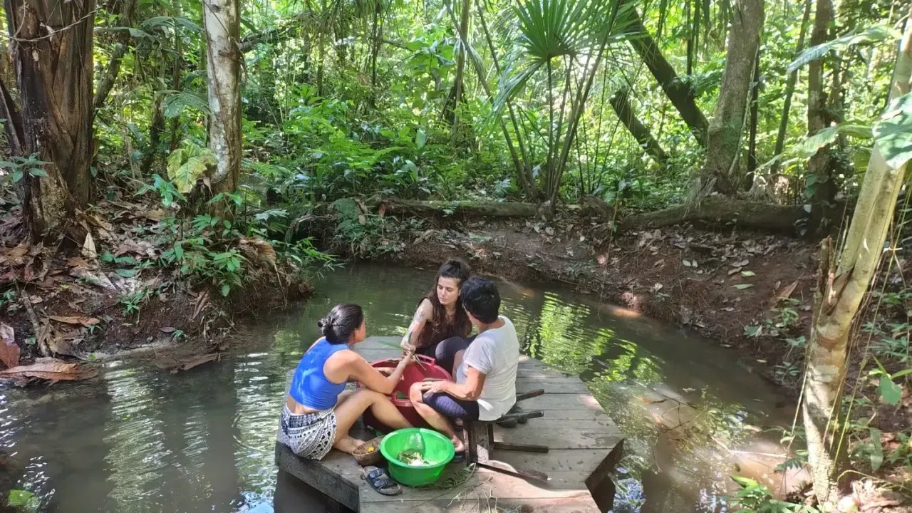 Life at Ayaselva — a moment from the jungle, the maloka, or a retreat.
