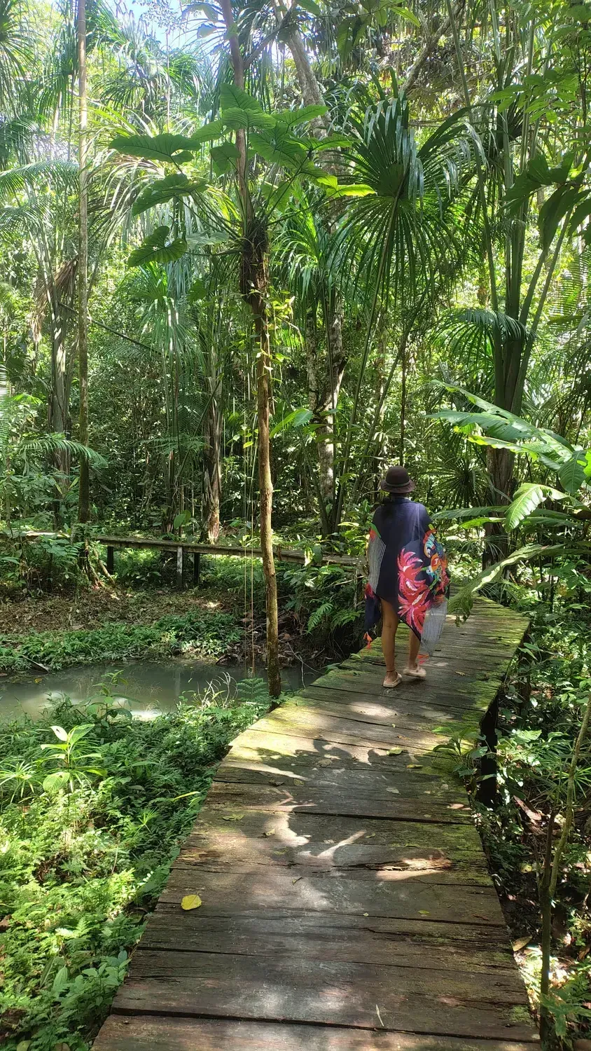 Life at Ayaselva — a moment from the jungle, the maloka, or a retreat.