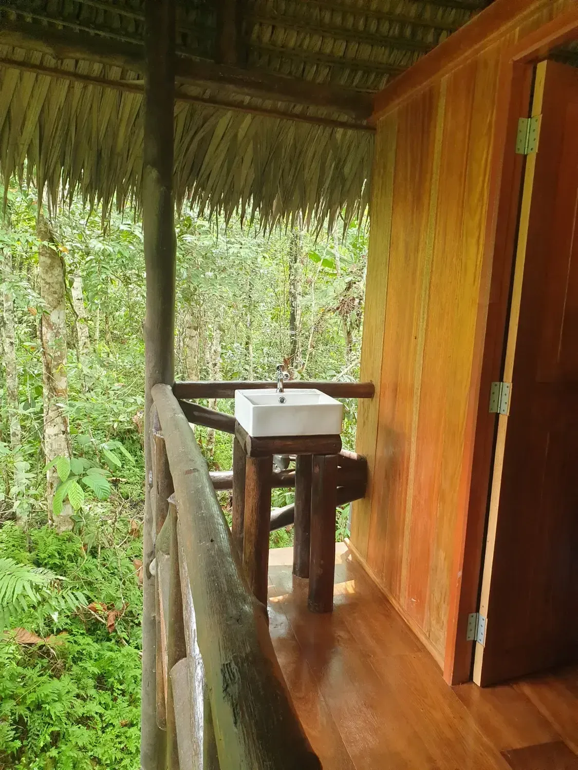 Life at Ayaselva — a moment from the jungle, the maloka, or a retreat.