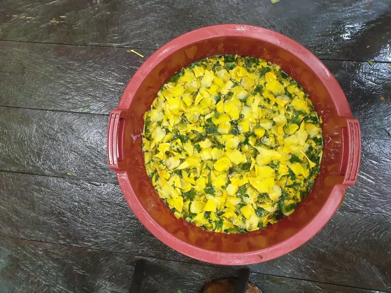 Life at Ayaselva — a moment from the jungle, the maloka, or a retreat.