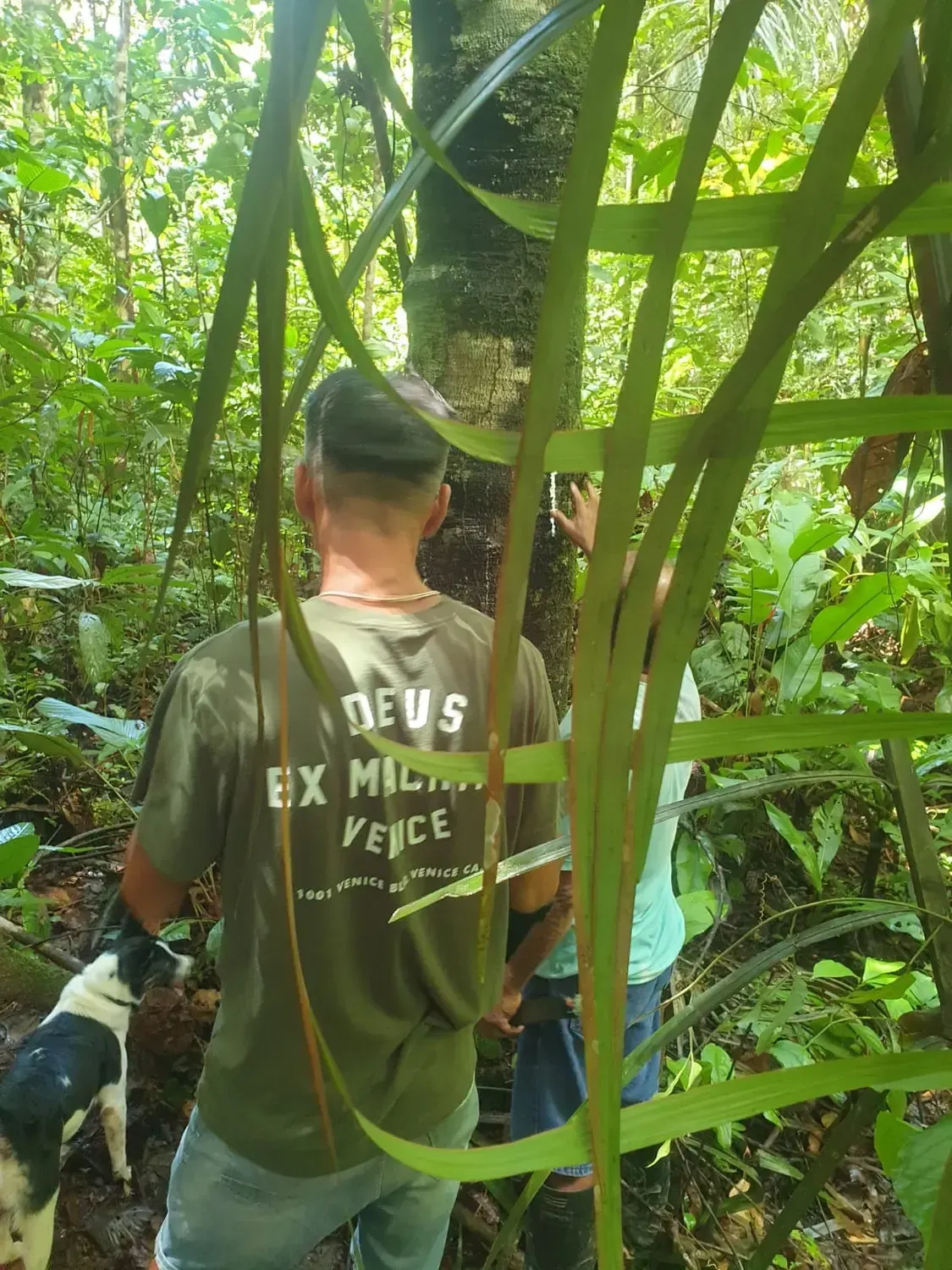 Life at Ayaselva — a moment from the jungle, the maloka, or a retreat.