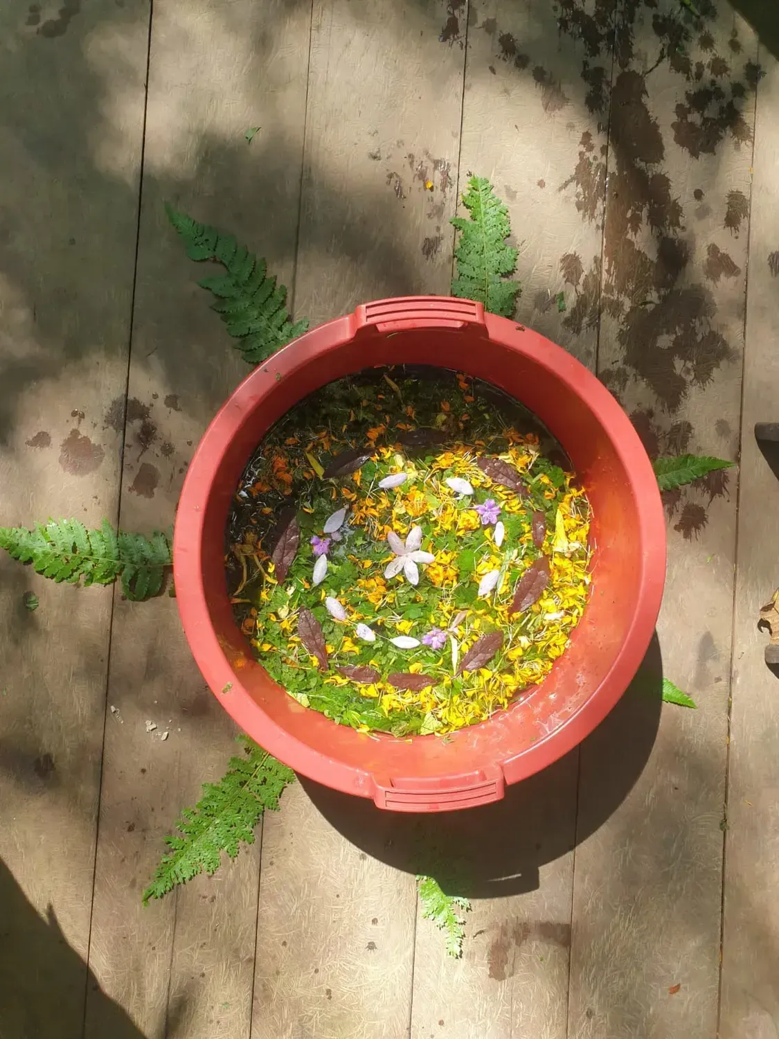 Life at Ayaselva — a moment from the jungle, the maloka, or a retreat.