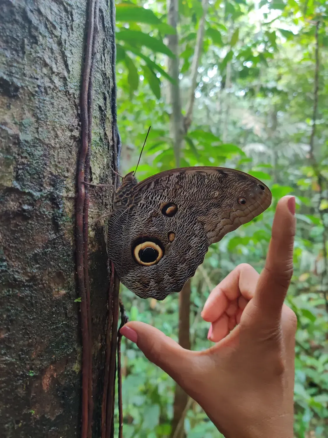Life at Ayaselva — a moment from the jungle, the maloka, or a retreat.