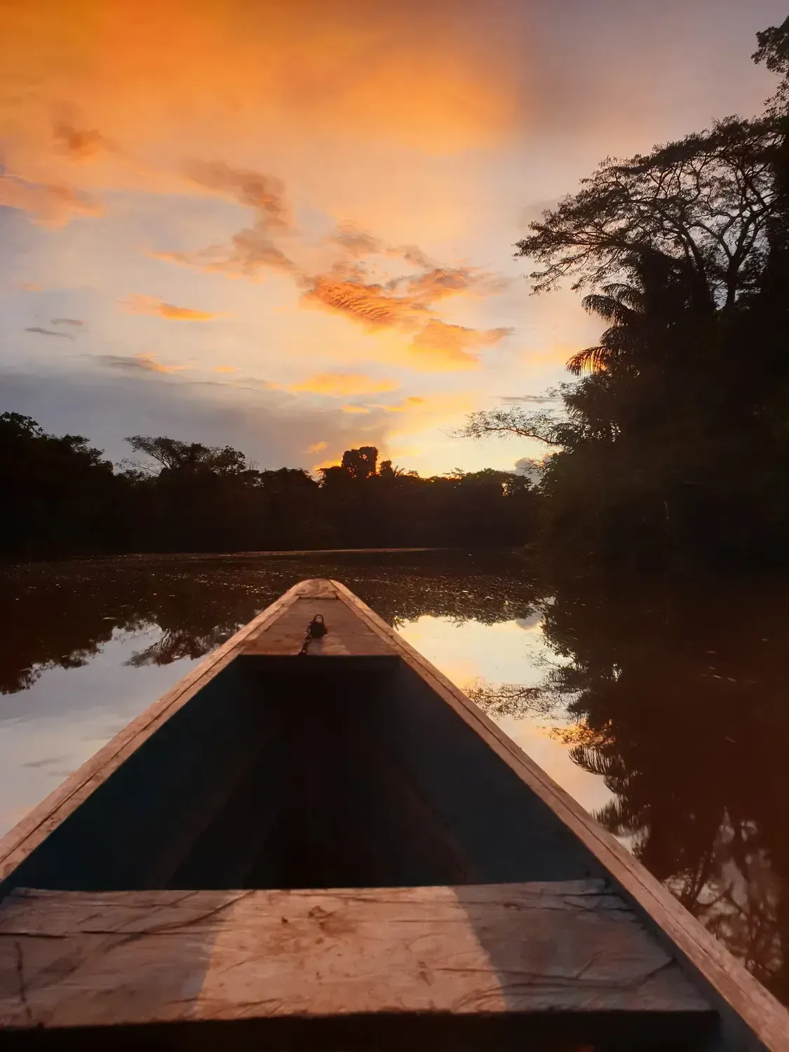 Life at Ayaselva — a moment from the jungle, the maloka, or a retreat.