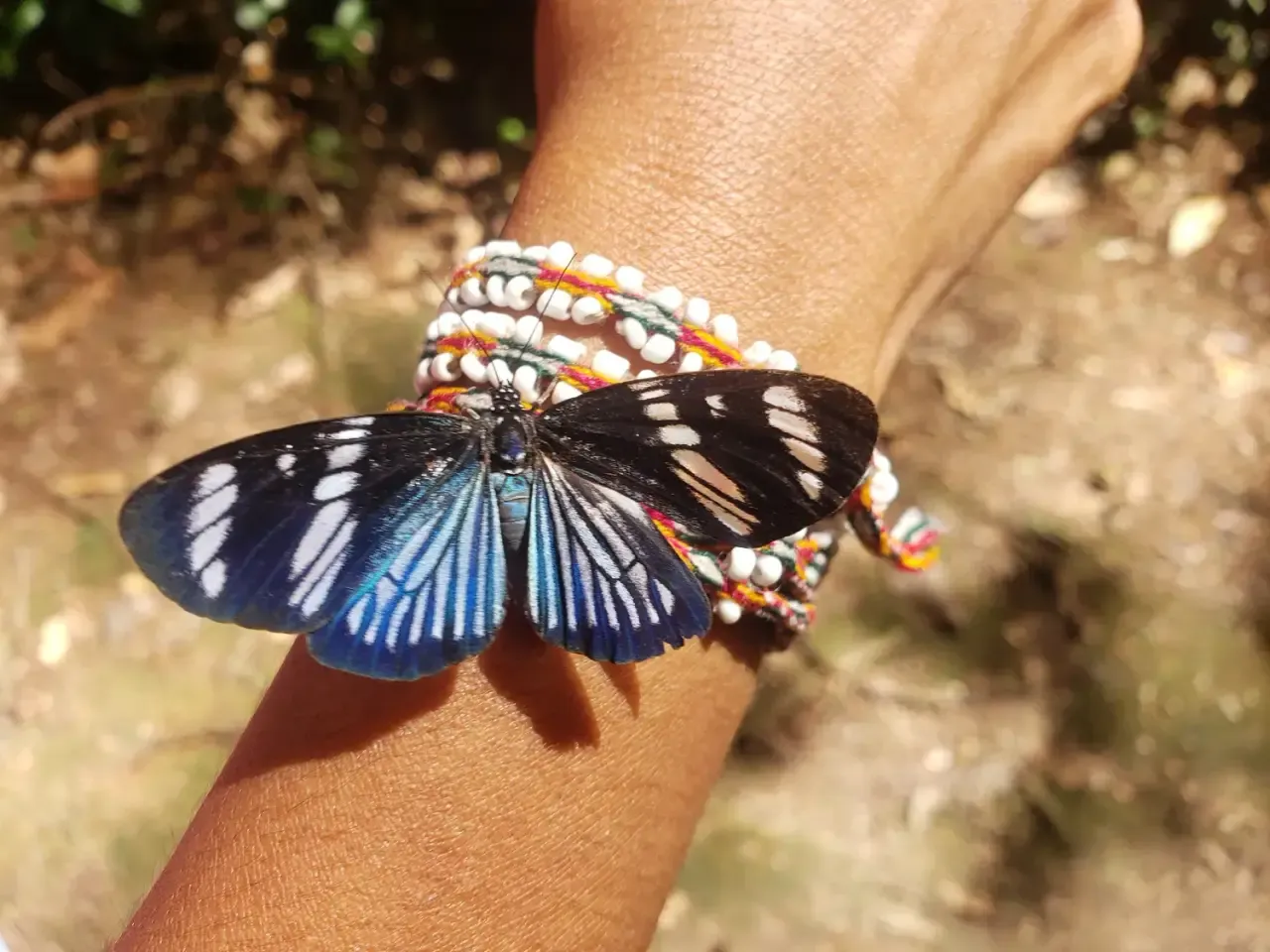 Life at Ayaselva — a moment from the jungle, the maloka, or a retreat.