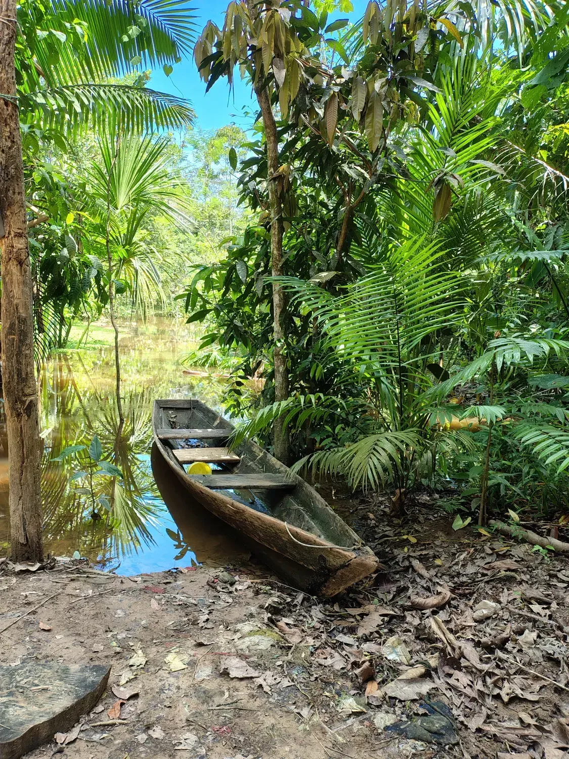 Life at Ayaselva — a moment from the jungle, the maloka, or a retreat.