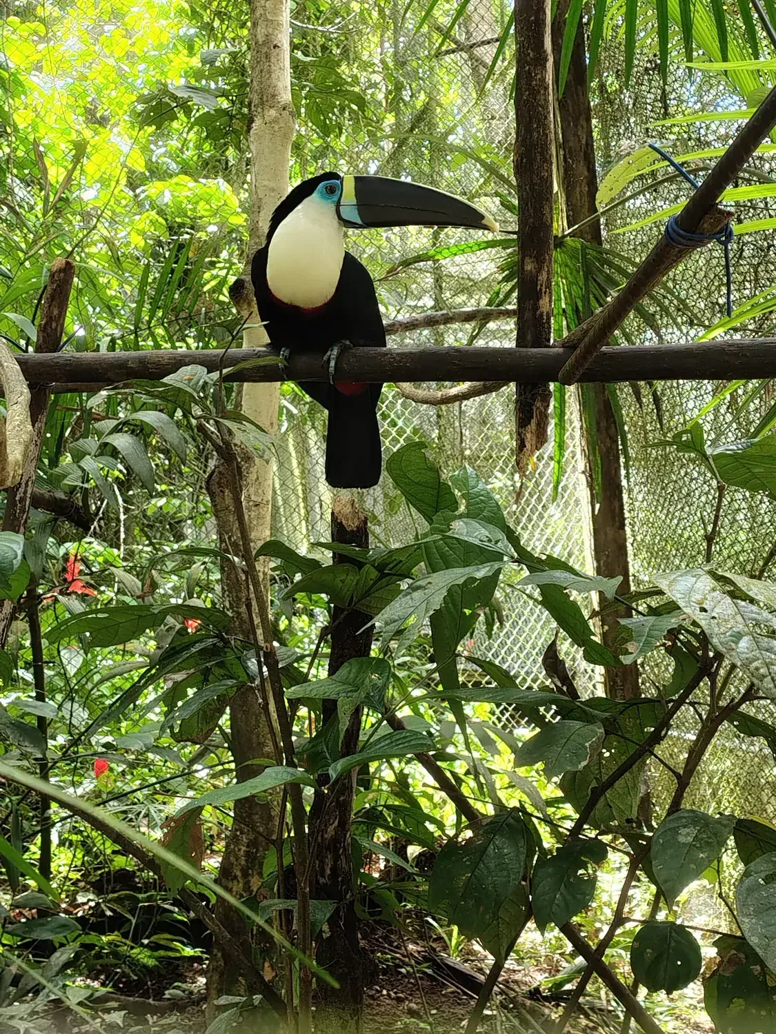 Life at Ayaselva — a moment from the jungle, the maloka, or a retreat.