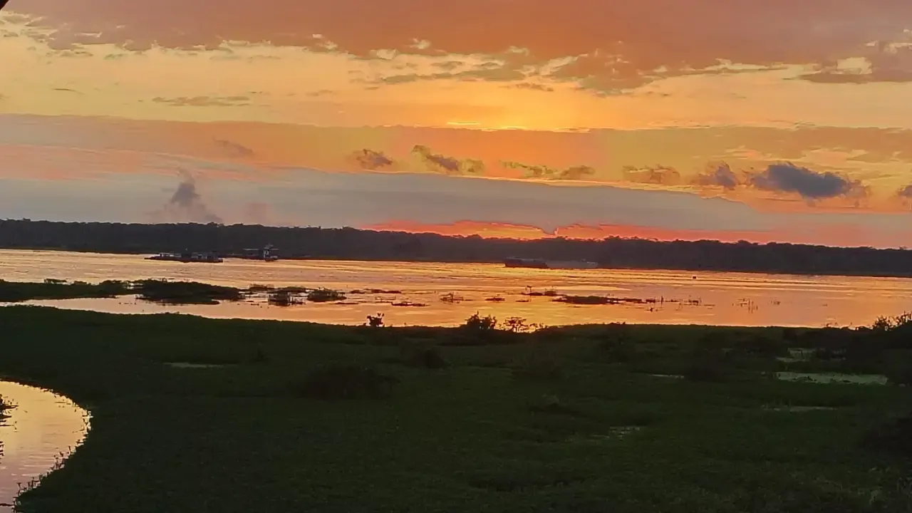 Life at Ayaselva — a moment from the jungle, the maloka, or a retreat.