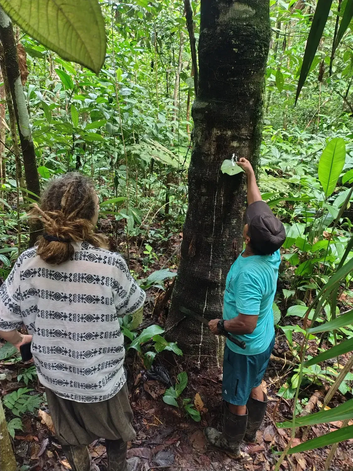 Life at Ayaselva — a moment from the jungle, the maloka, or a retreat.