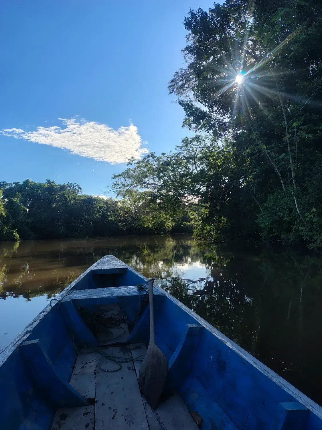 Life at Ayaselva — a moment from the jungle, the maloka, or a retreat.