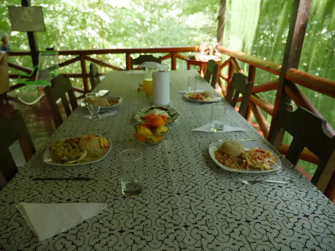 Life at Ayaselva — a moment from the jungle, the maloka, or a retreat.
