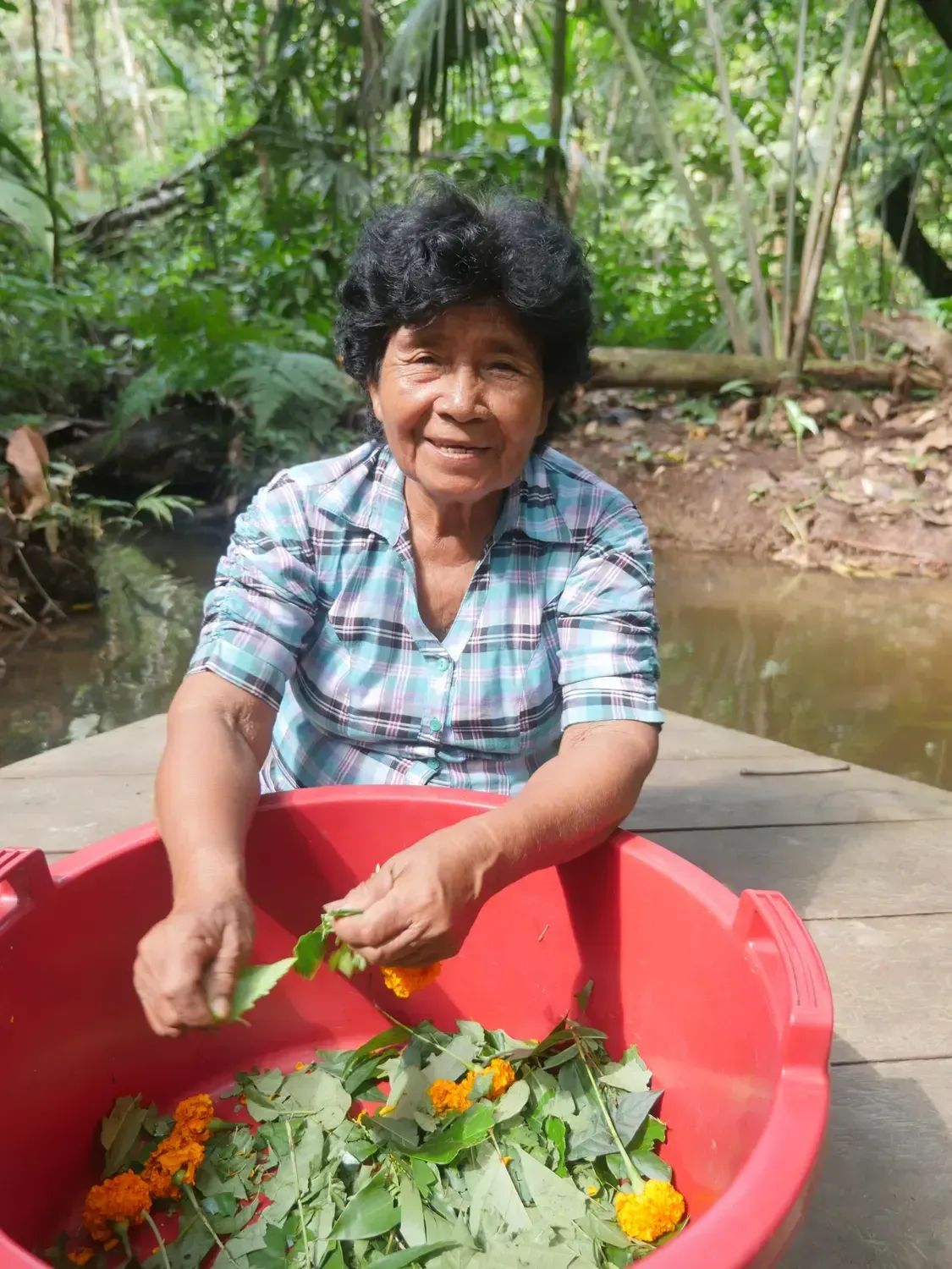 Life at Ayaselva — a moment from the jungle, the maloka, or a retreat.
