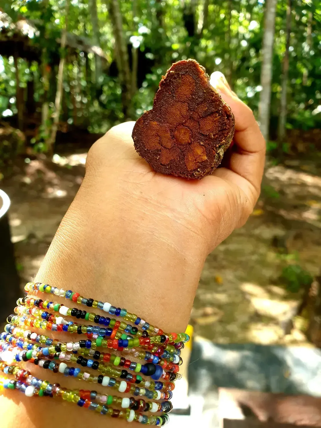 Life at Ayaselva — a moment from the jungle, the maloka, or a retreat.