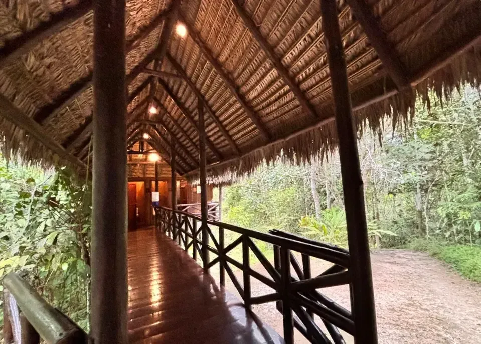 Life at Ayaselva — a moment from the jungle, the maloka, or a retreat.