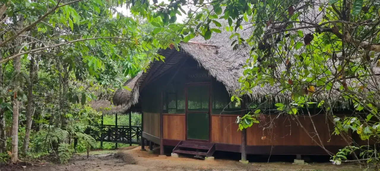 Life at Ayaselva — a moment from the jungle, the maloka, or a retreat.