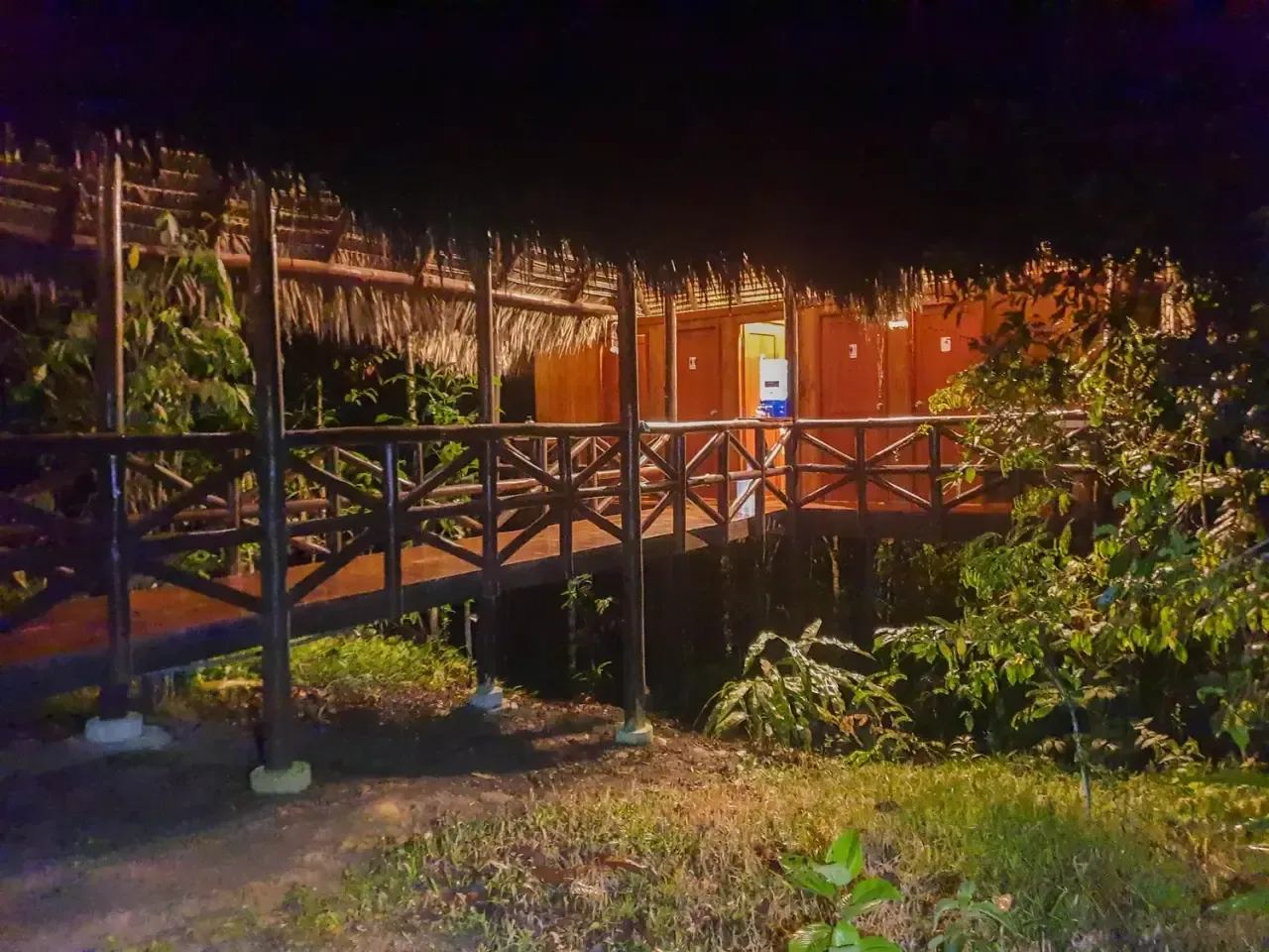 Life at Ayaselva — a moment from the jungle, the maloka, or a retreat.