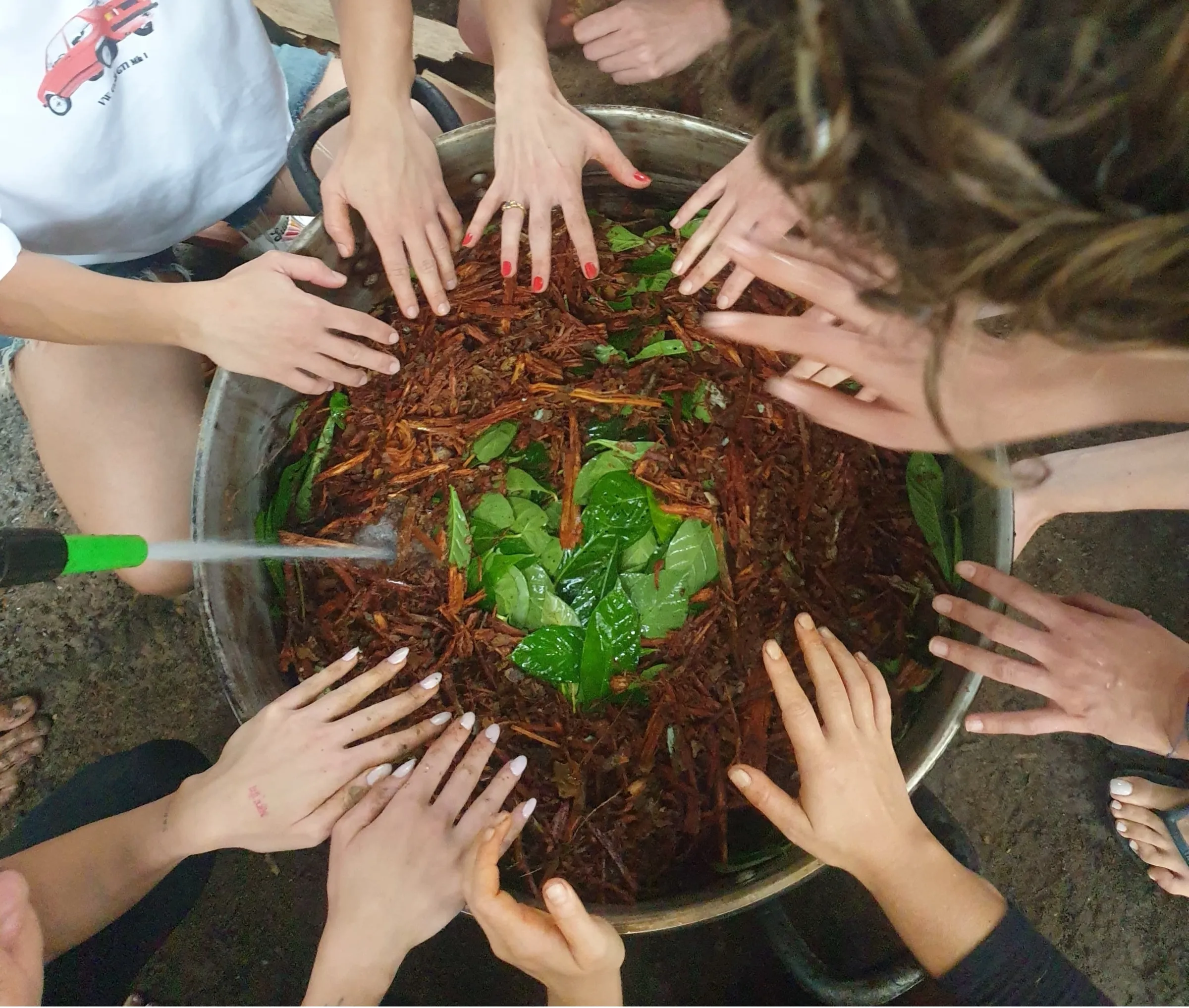 Preparing the ayahuasca brew — the pounded vine and chacruna leaves cooked together in a large pot.